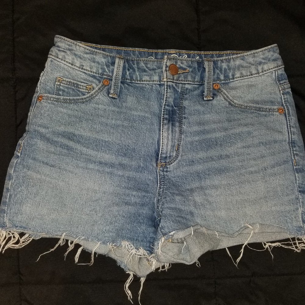 Blue Frayed Jean Shorts